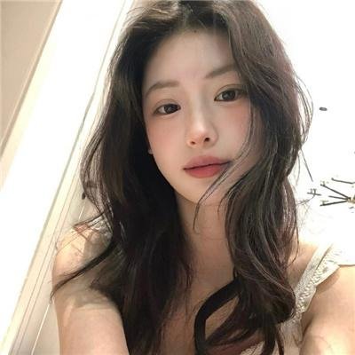 沙漠生存者：阿拉伯狼