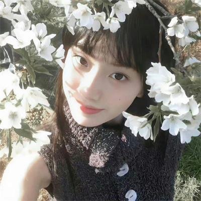 大国手之棋行江湖